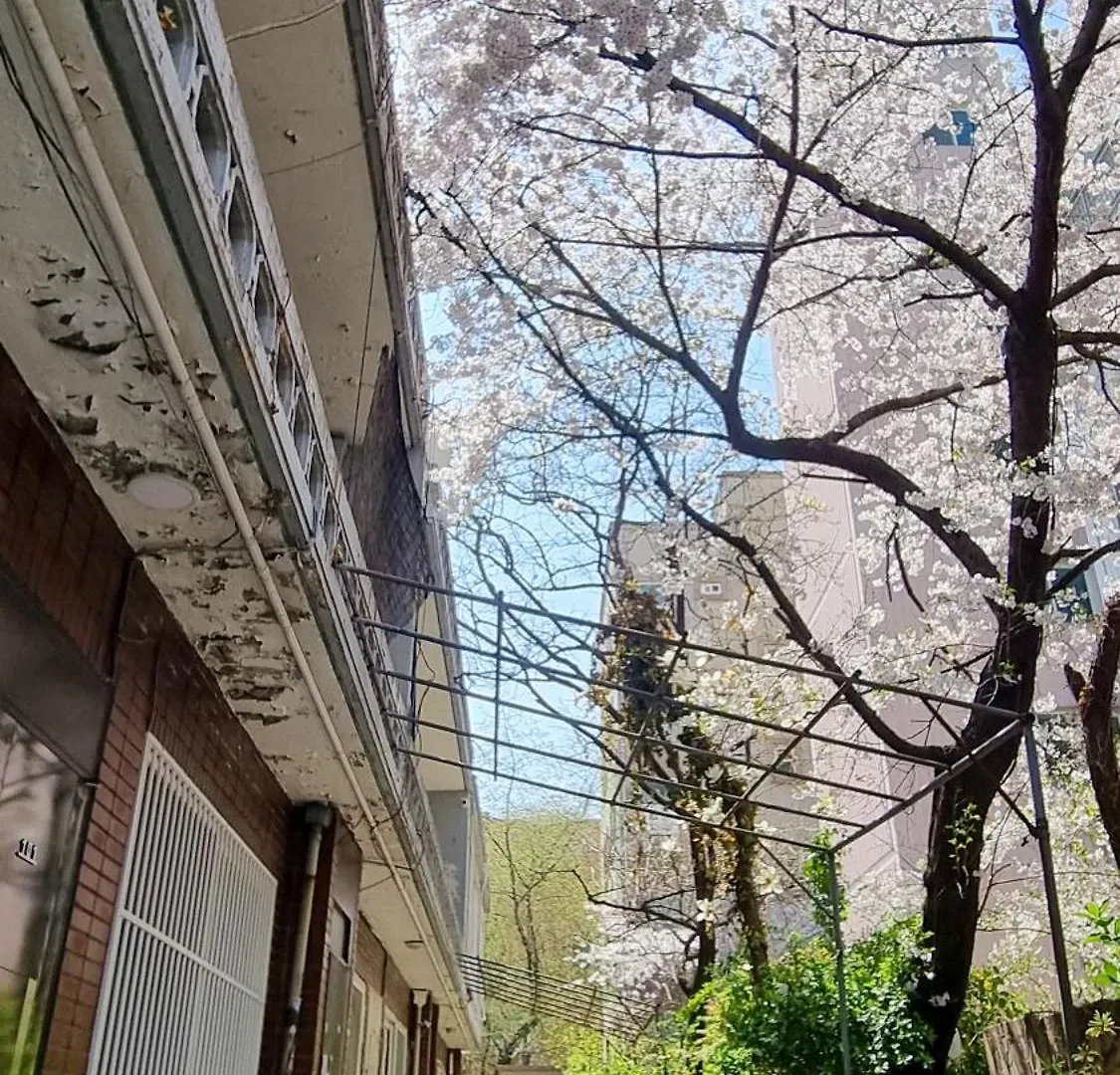 July & August, Hongdae, 3Min To Hapjeong Stn, 7 Guests Hotel Seoul 0*,  South Korea