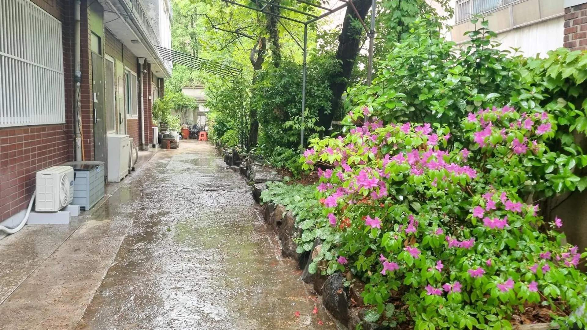Guest house July & August, Hongdae, 3Min To Hapjeong Stn, 7 Guests Hotel Seoul